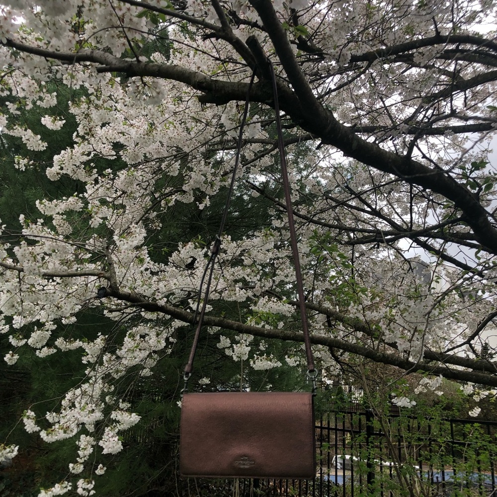 COACH hayden crossbody foldover clutch